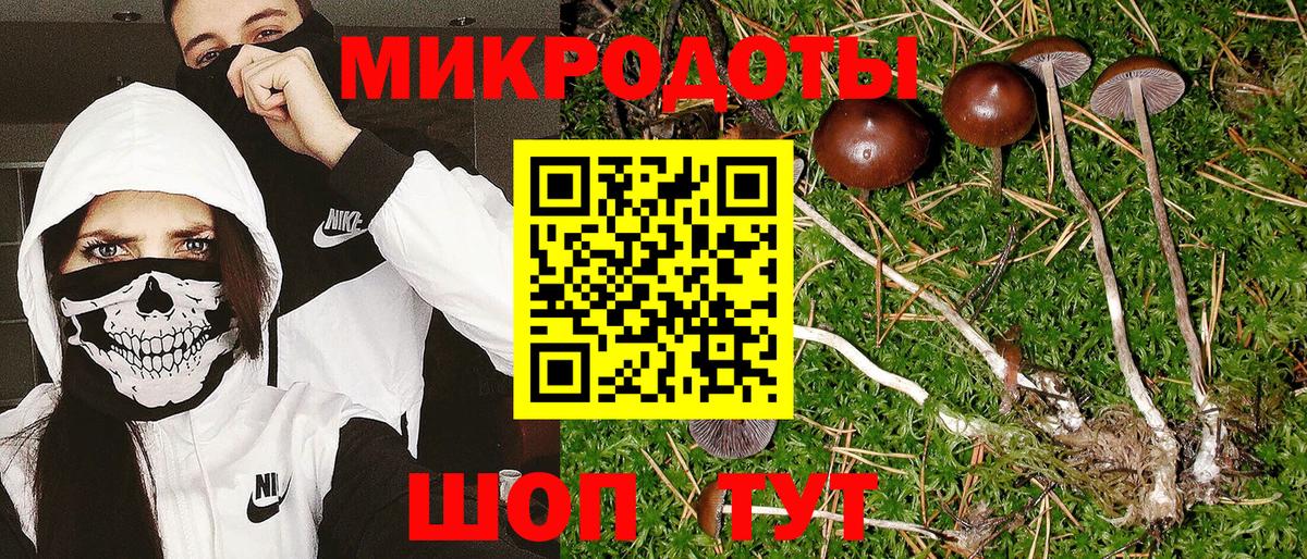 Псилоцибиновые грибы Magic Shrooms Сосновоборск