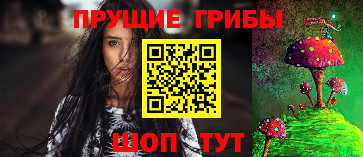 Сосновоборск  Псилоцибиновые грибы GOLDEN TEACHER  Галлюциногенные грибы Psilocybine cubensis  Вход с VPN 